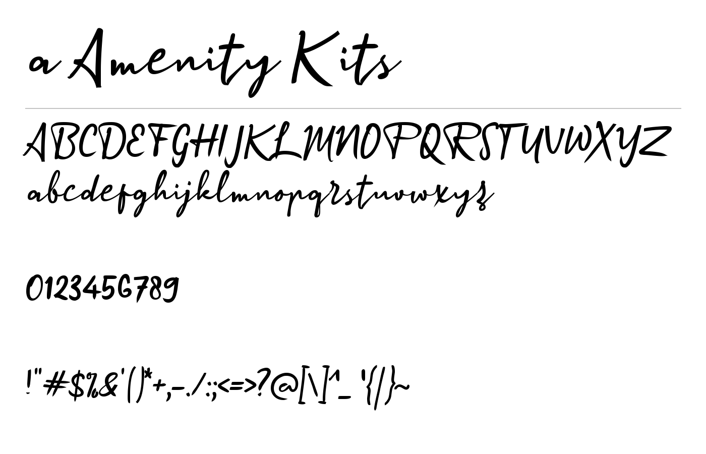 a Amenity Kits Font preview