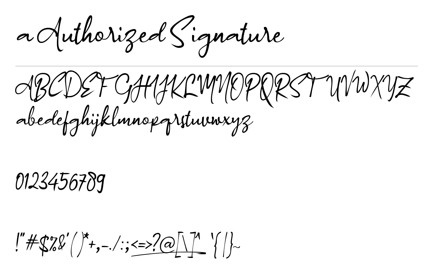 a Authorized Signature Font preview