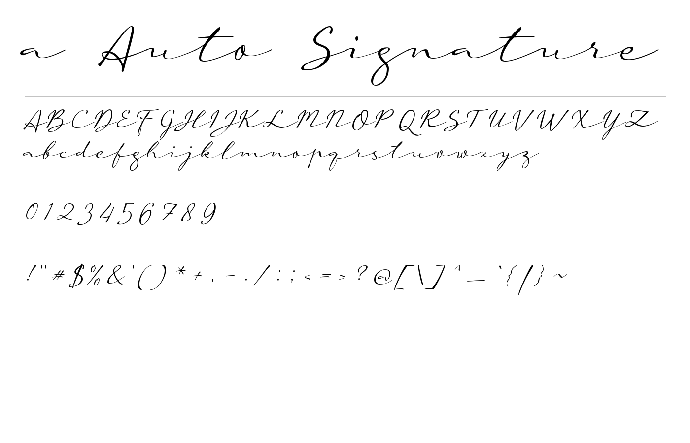 a Auto Signature Font preview