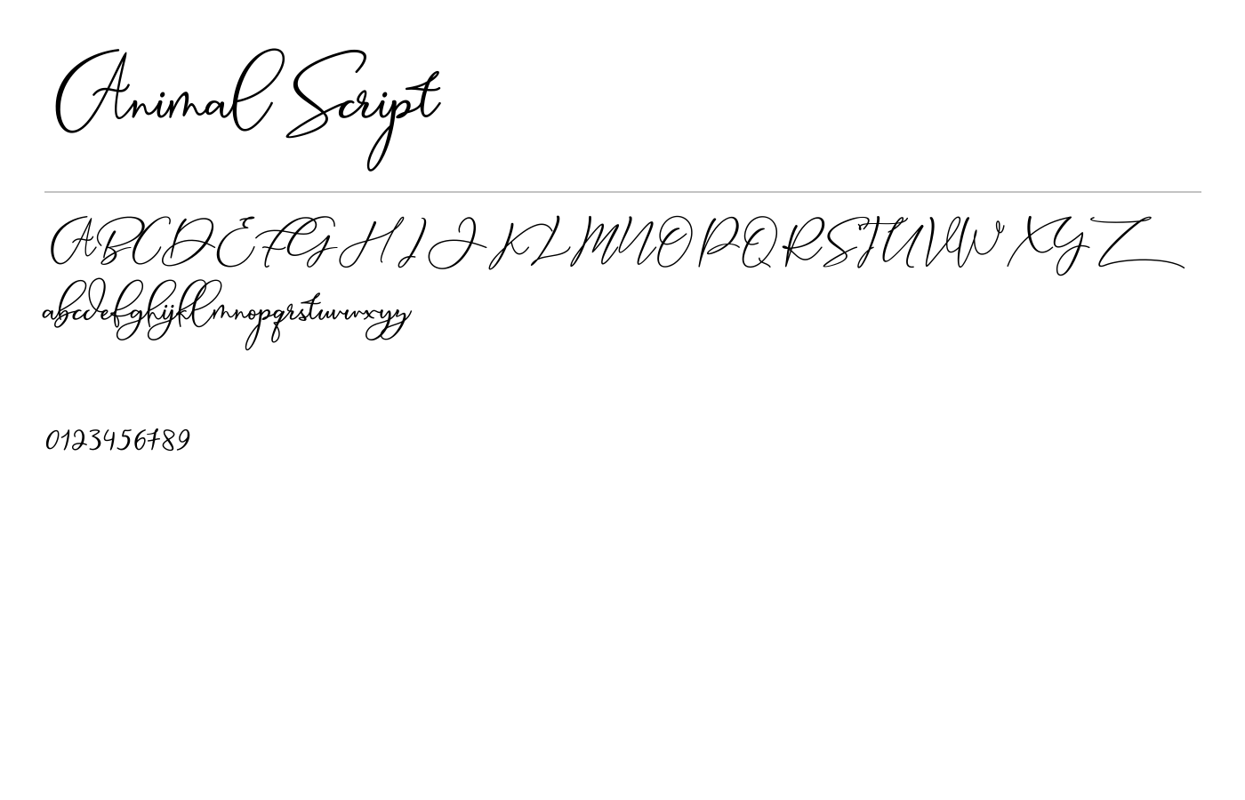 Animal Script Font preview