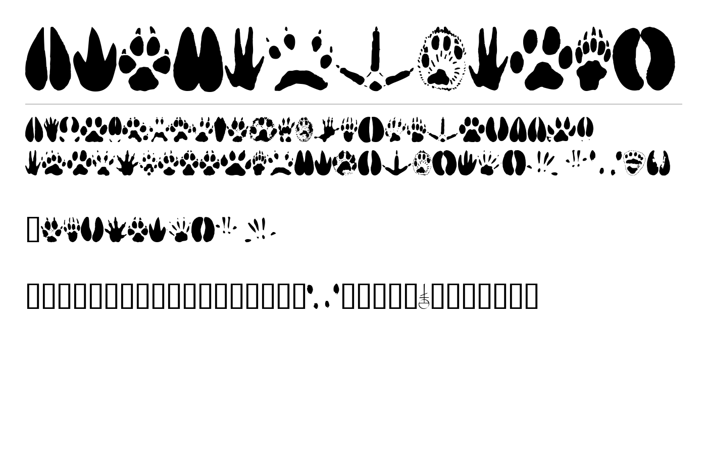 AnimalTracks Font preview