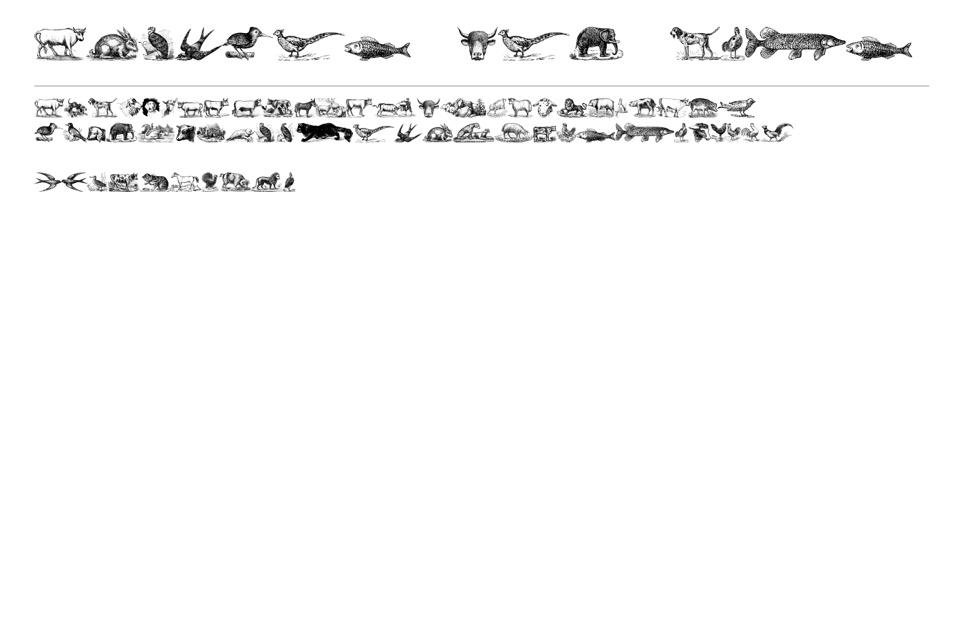 Animals Old Cuts Font preview