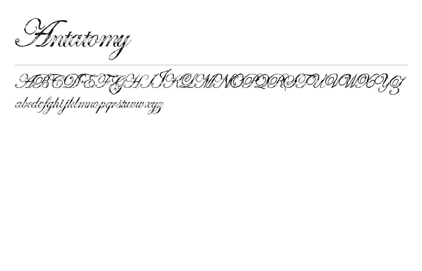 Antatomy Font preview
