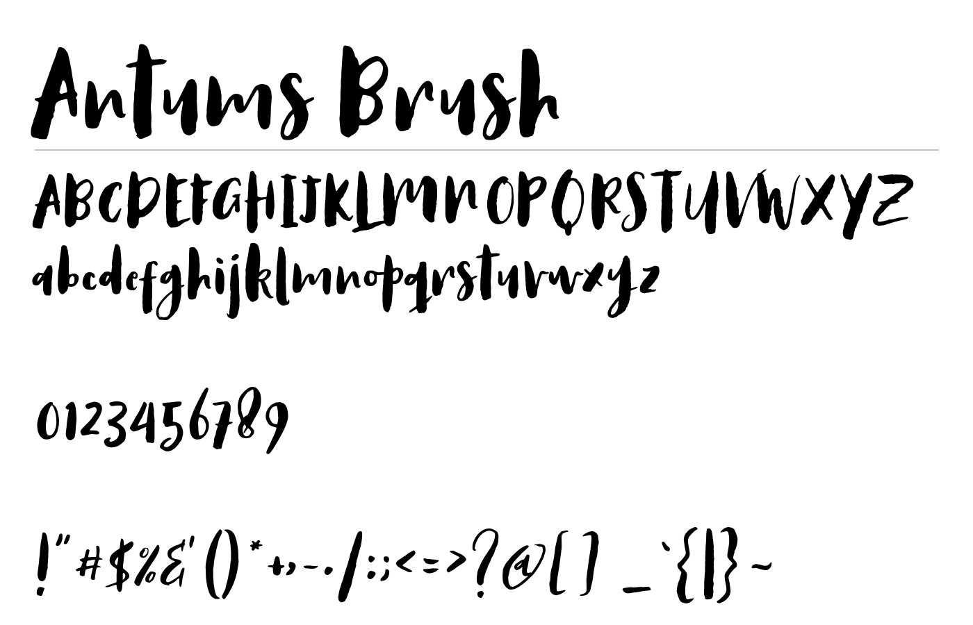 Antums Brush Font preview