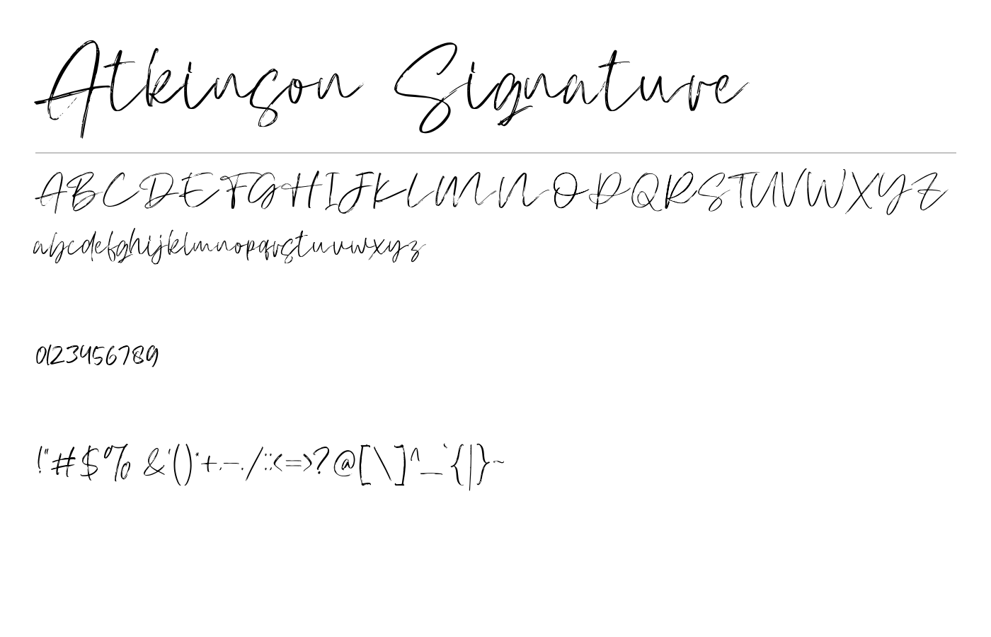 Atkinson Signature Font preview