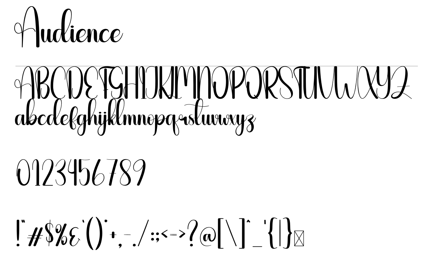 Audience Font preview