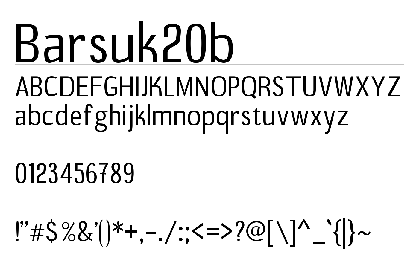 B20 Sans Font preview