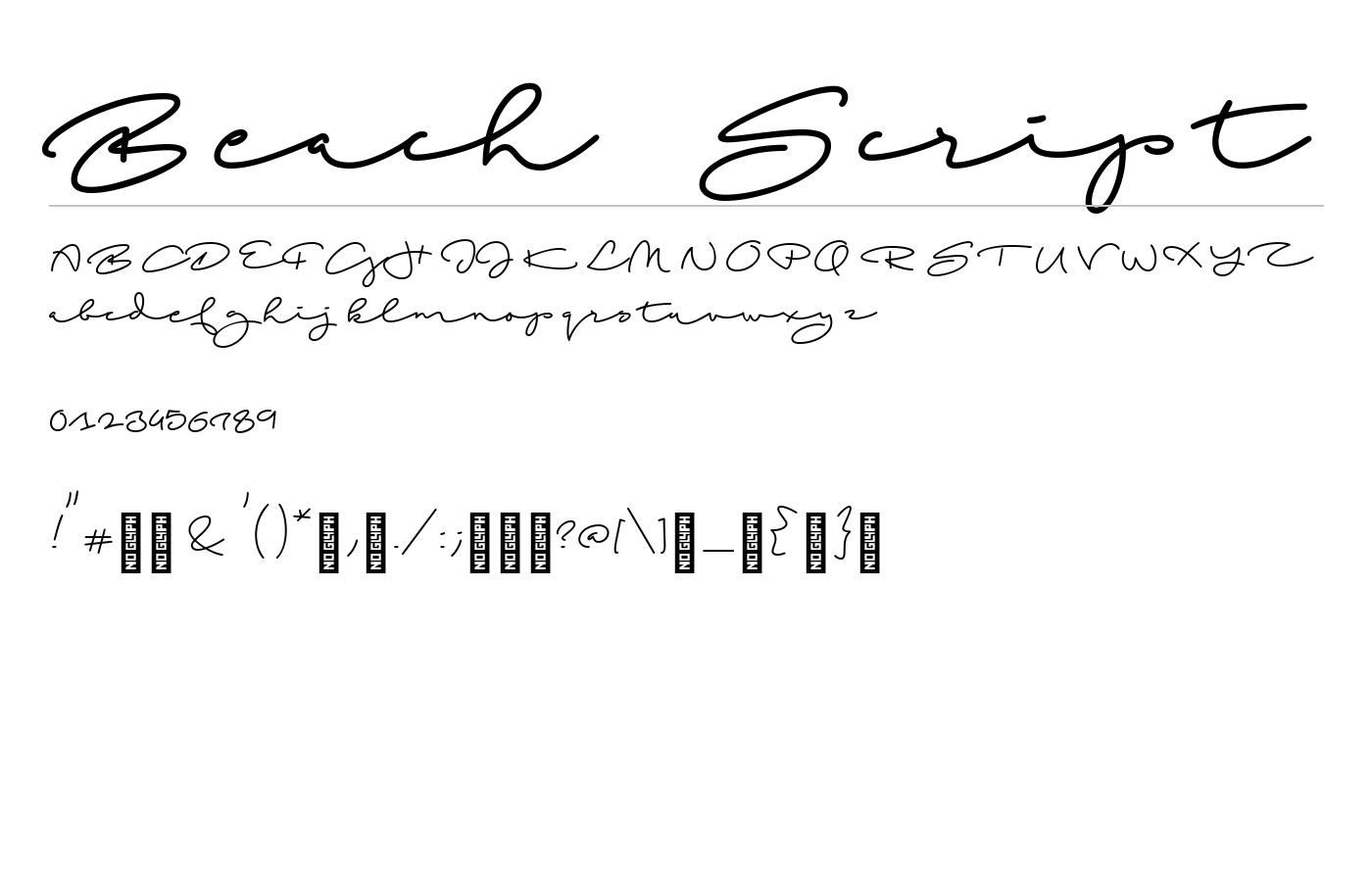 Beach Script Font preview