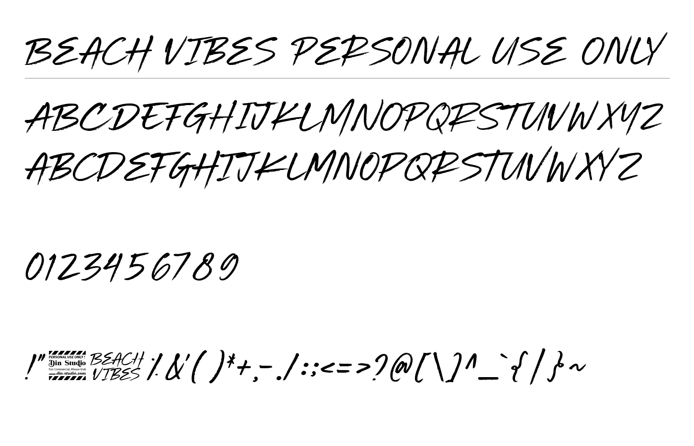 Beach Vibes Personal Use Only Font preview