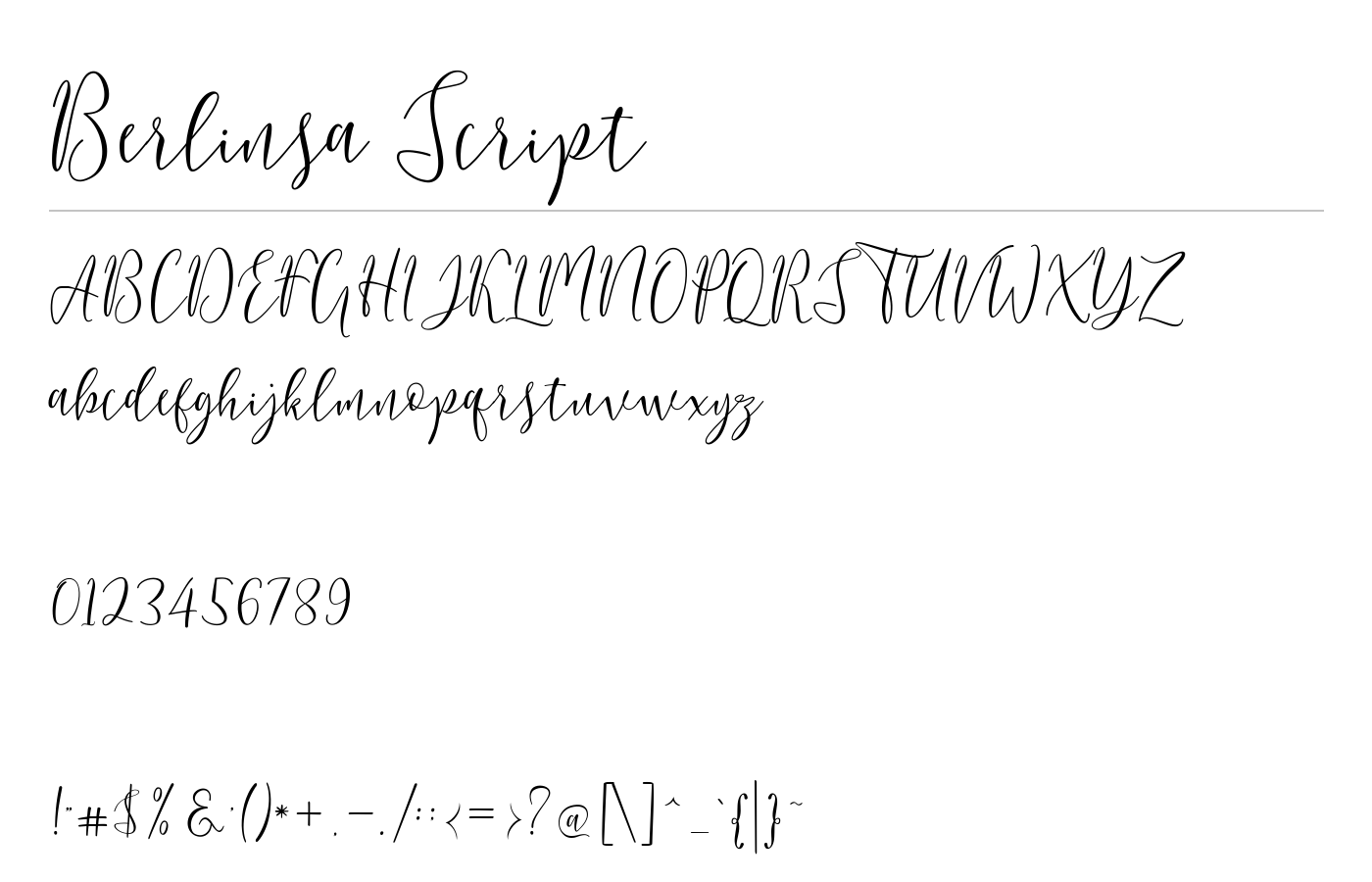 Berlinsa Script Font preview