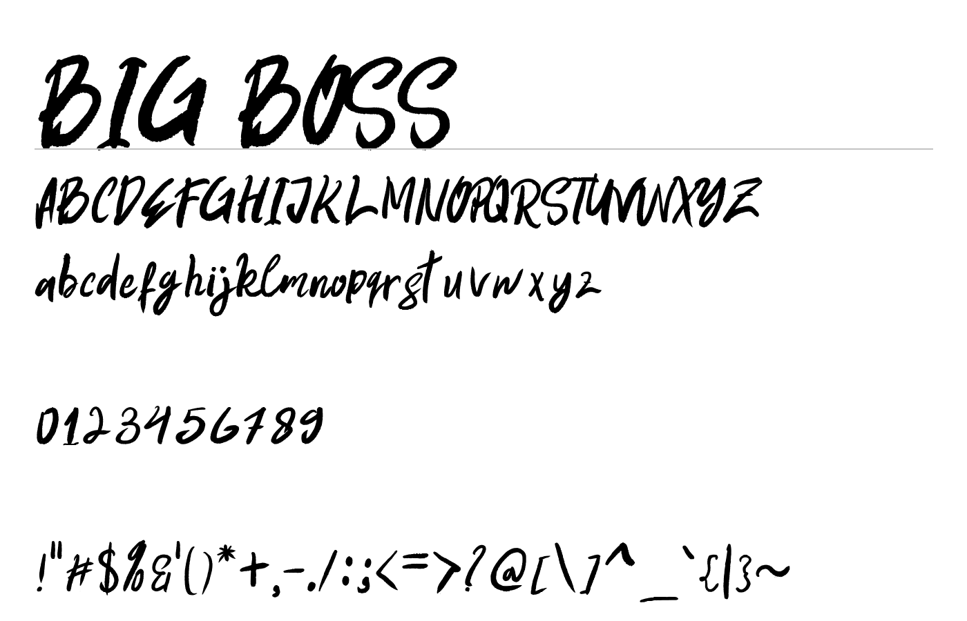 BIG BOSS Font preview