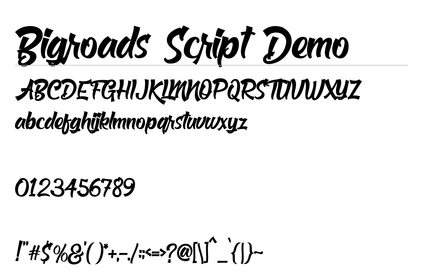 Bigroads Script Demo Font preview
