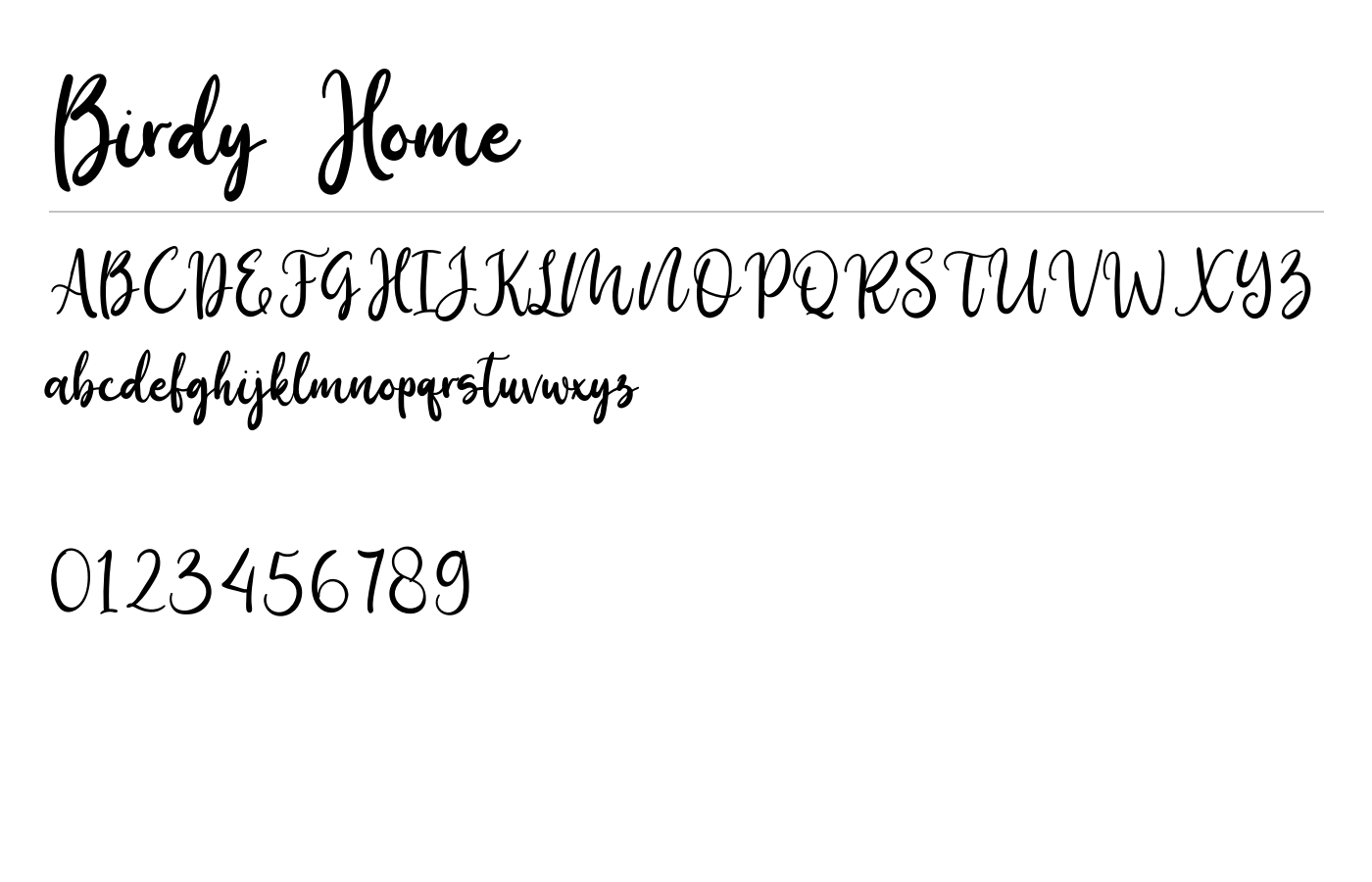 Birdy Home Font preview