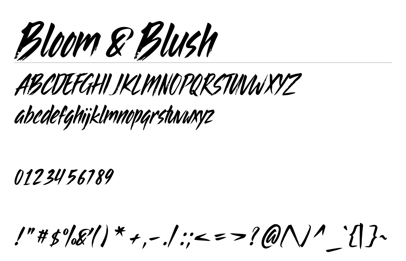 Bloom & Blush Font preview