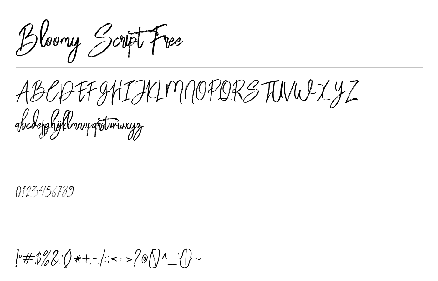 Bloomy Script Font preview