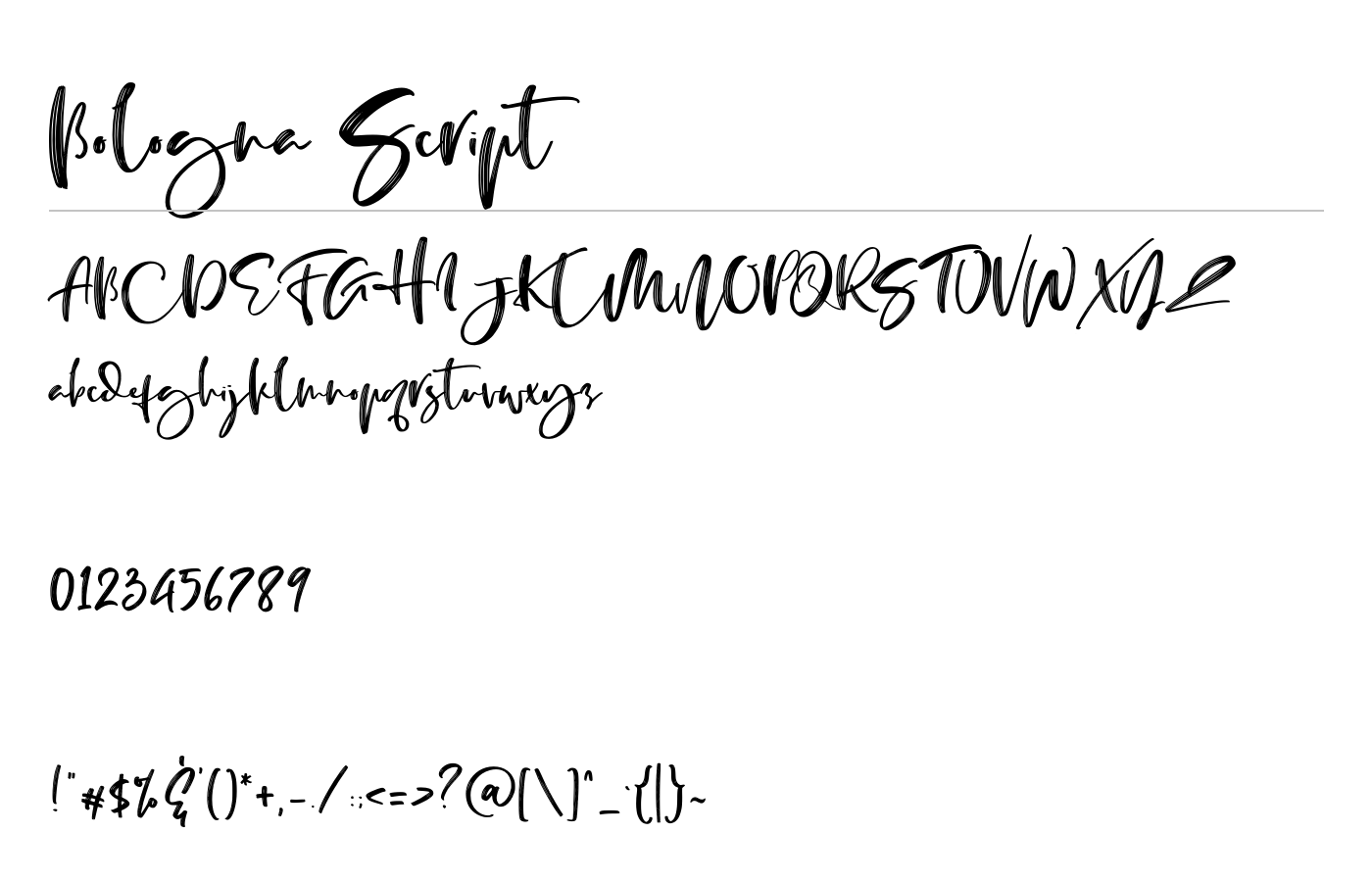Bologna Script Font preview