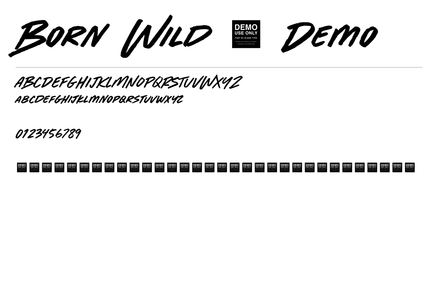 Born Wild - Demo Font preview