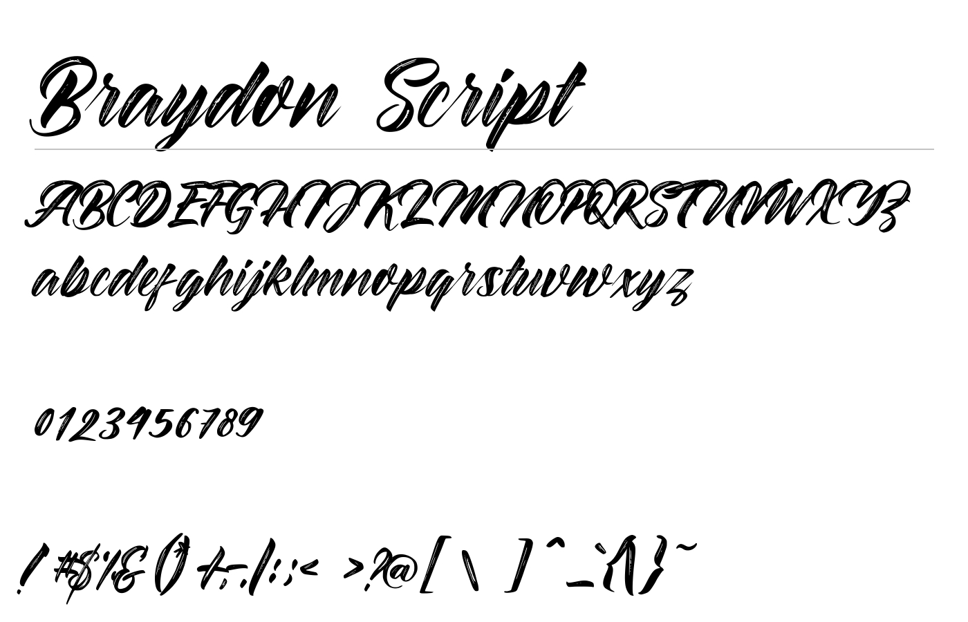 Braydon Script Font preview