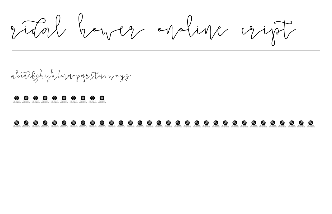 Bridal Shower Monoline Script Font preview