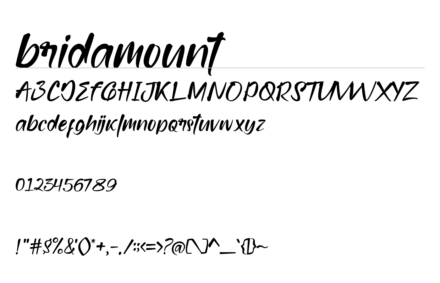 Bridamount Script Demo preview