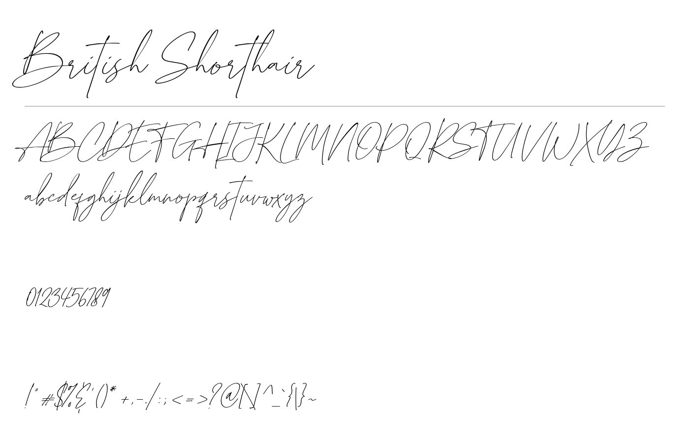 British Shorthair Font preview