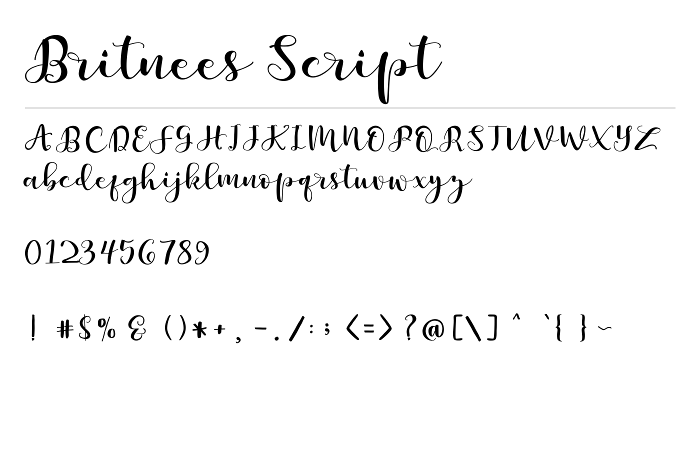 Britnees Script Font preview