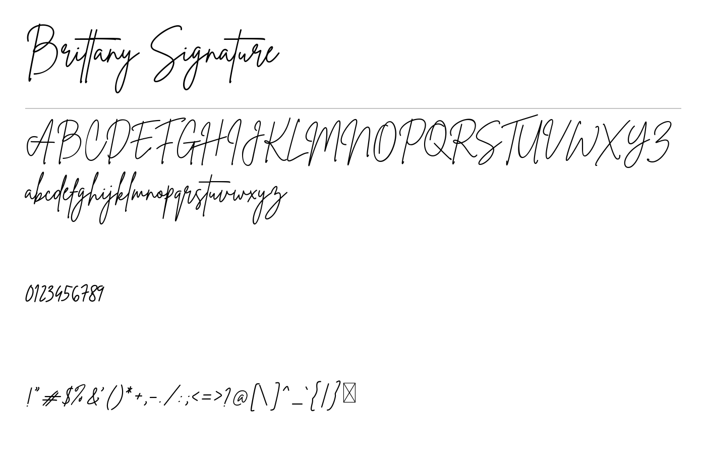 Brittany Signature Script preview