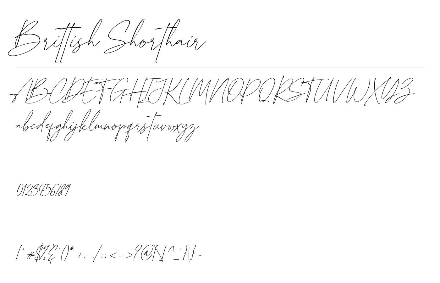 Brittish Sorthair Font preview