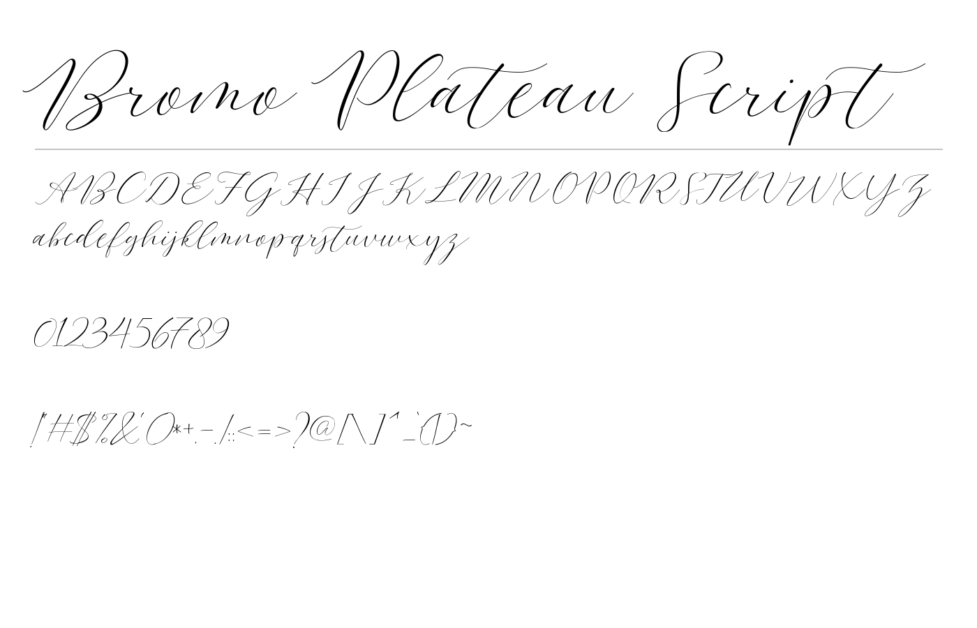 Bromo Plateau Script Font preview