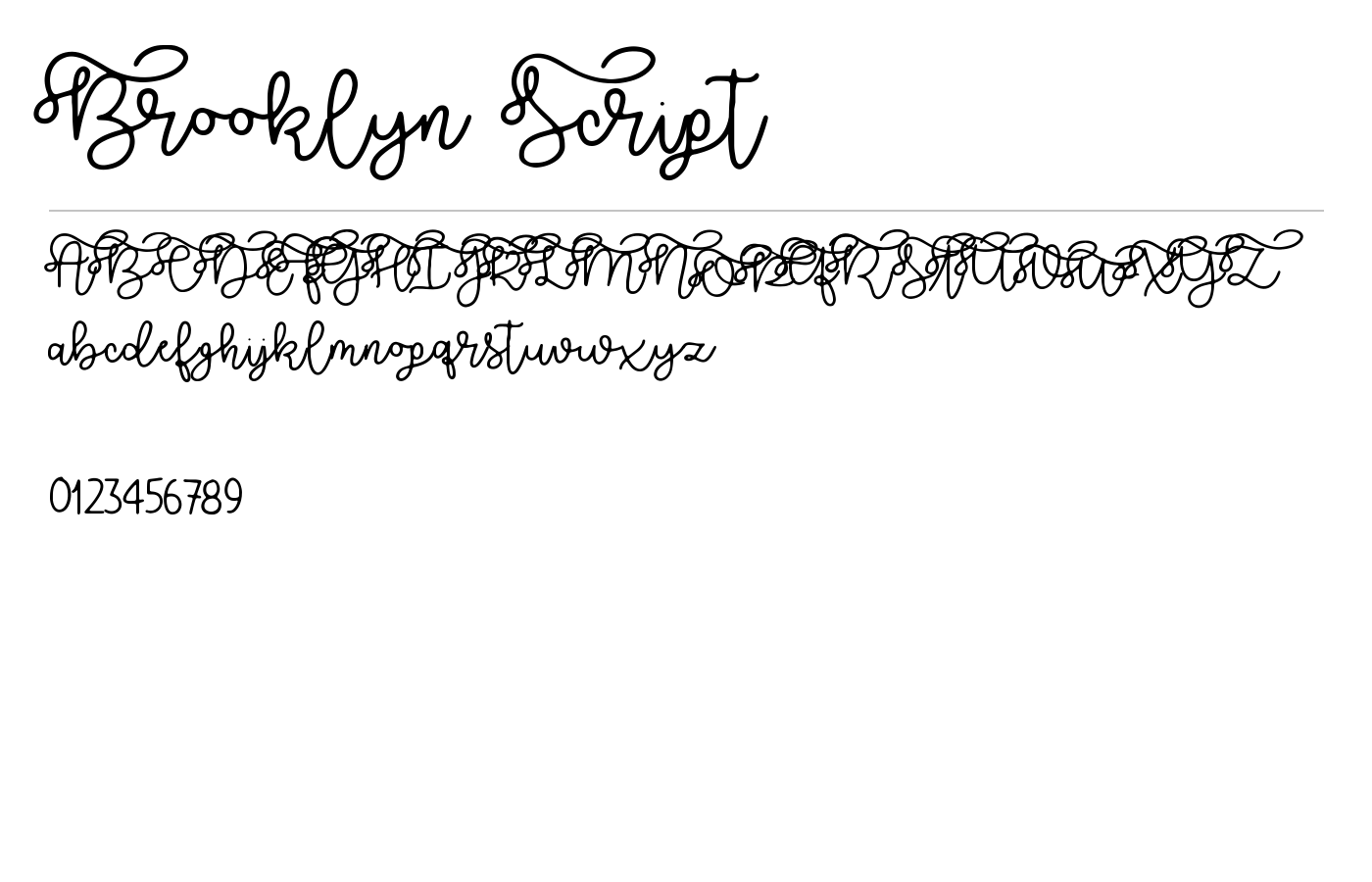 Brooklyn Script Font preview