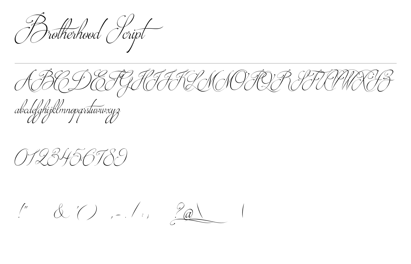 Brotherhood Script Font preview