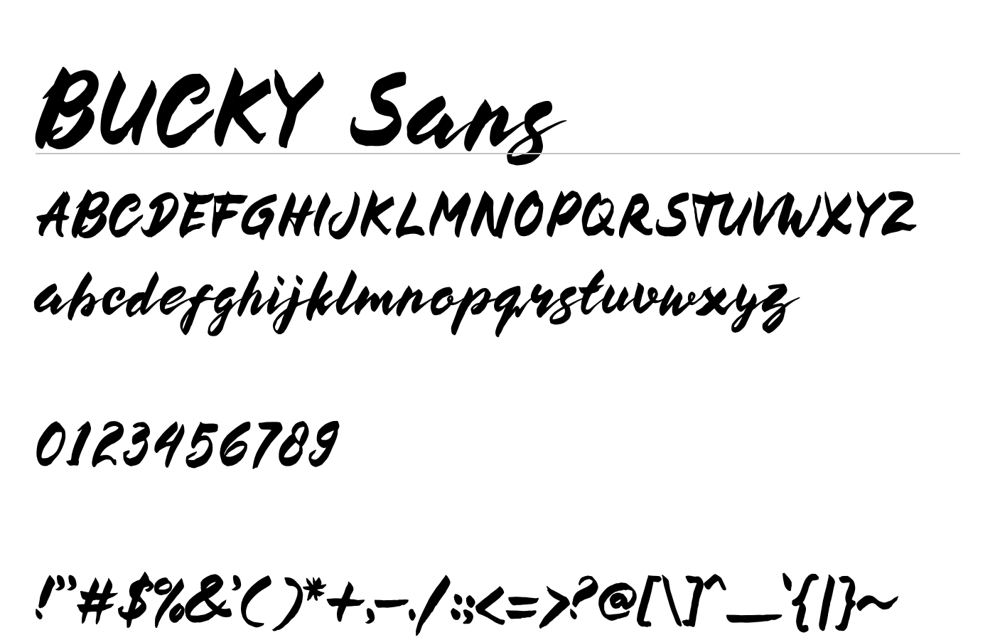 BUCKY Sans Font preview