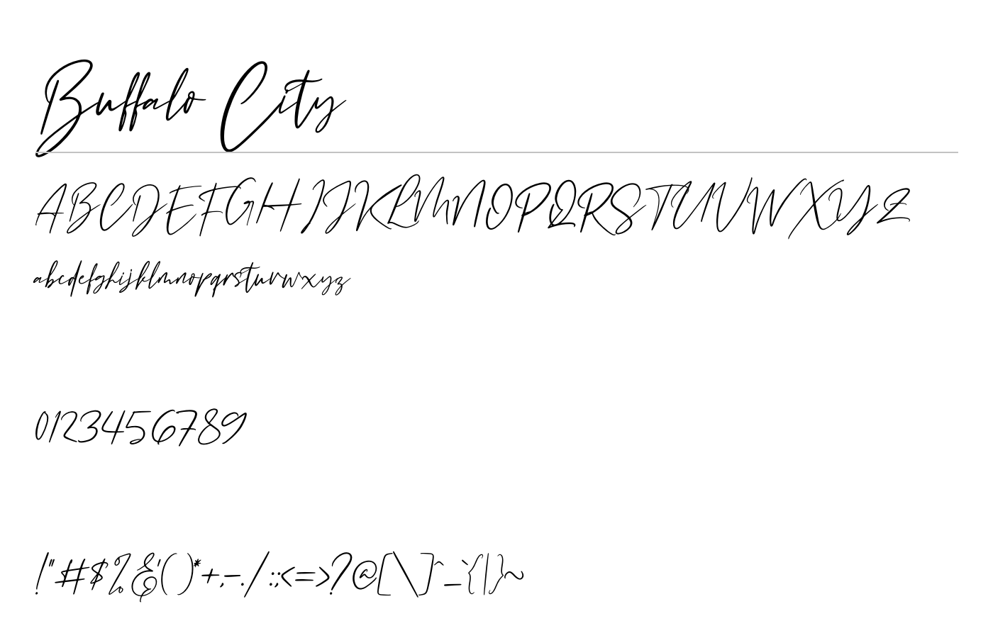 Buffalo City Font preview