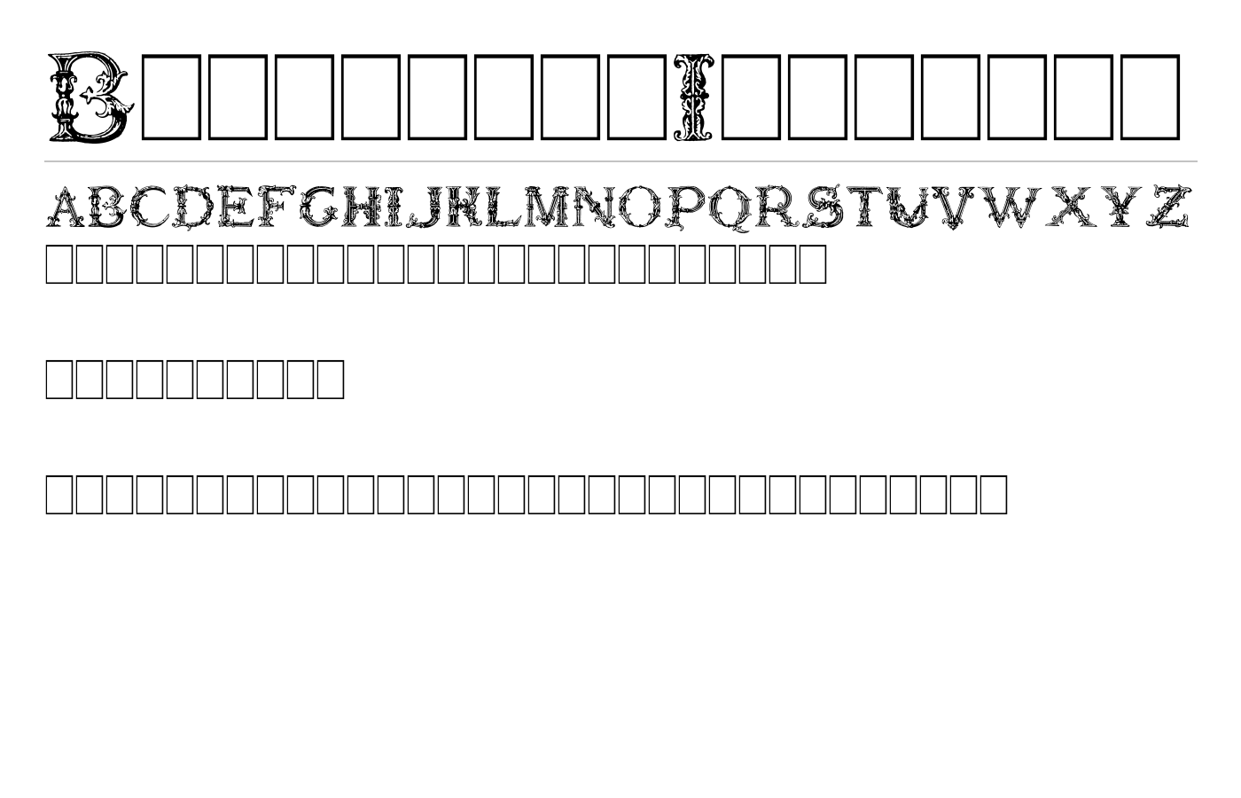 Burgoyne_Initials Font preview