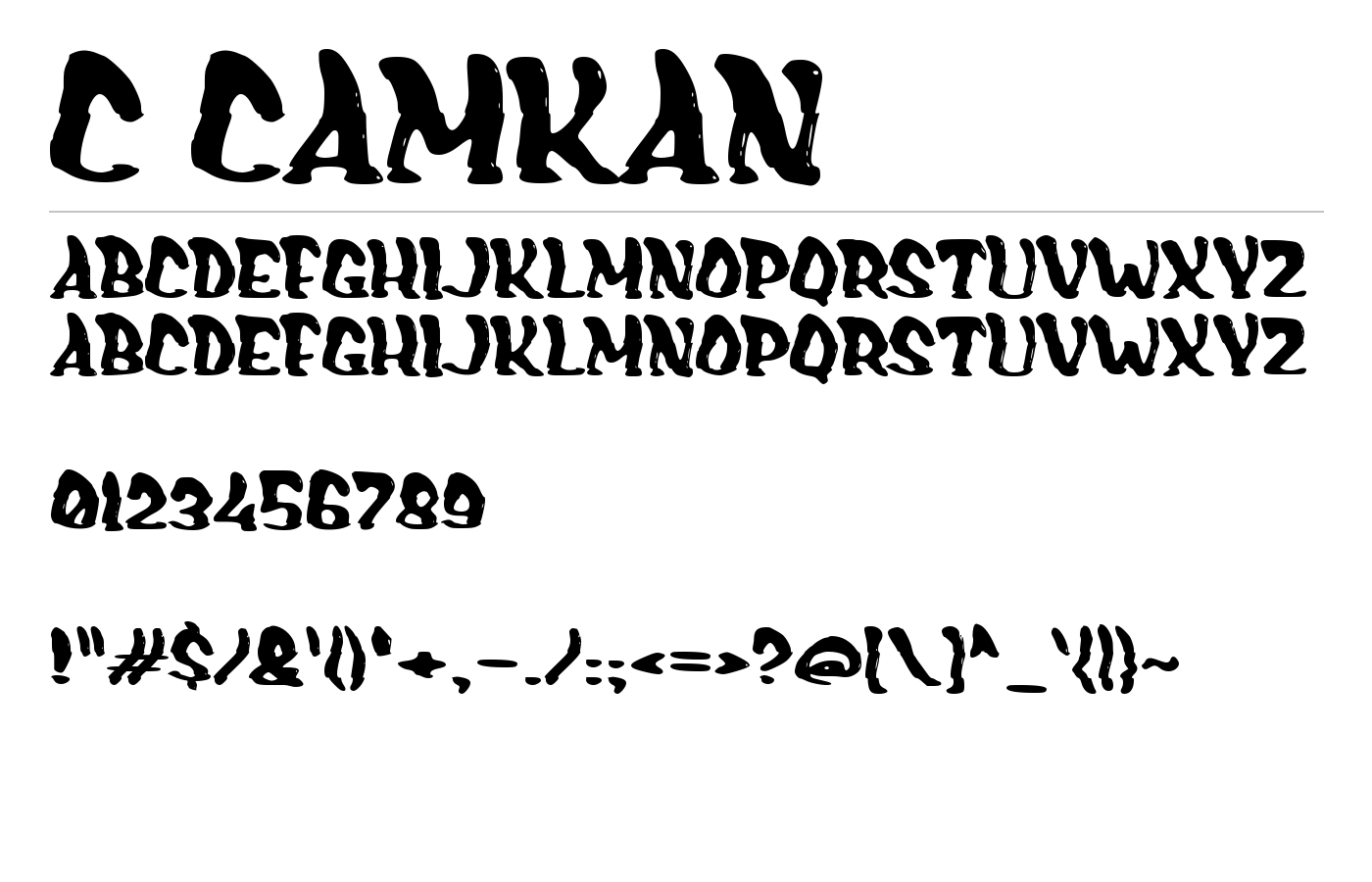 c Camkan Font preview
