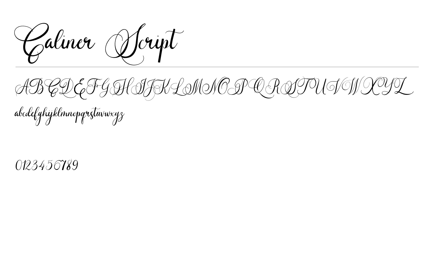 Caliner Script Font preview