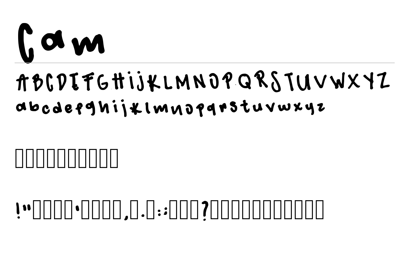 Cam Font preview