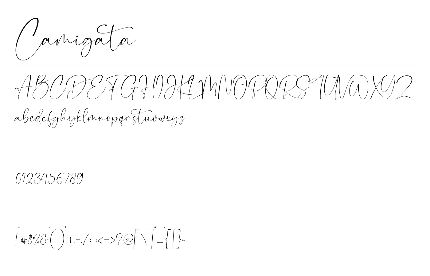 Camigata Font preview