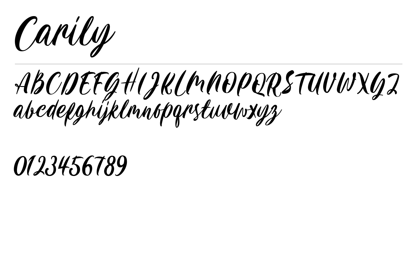 Carily Brush Font preview