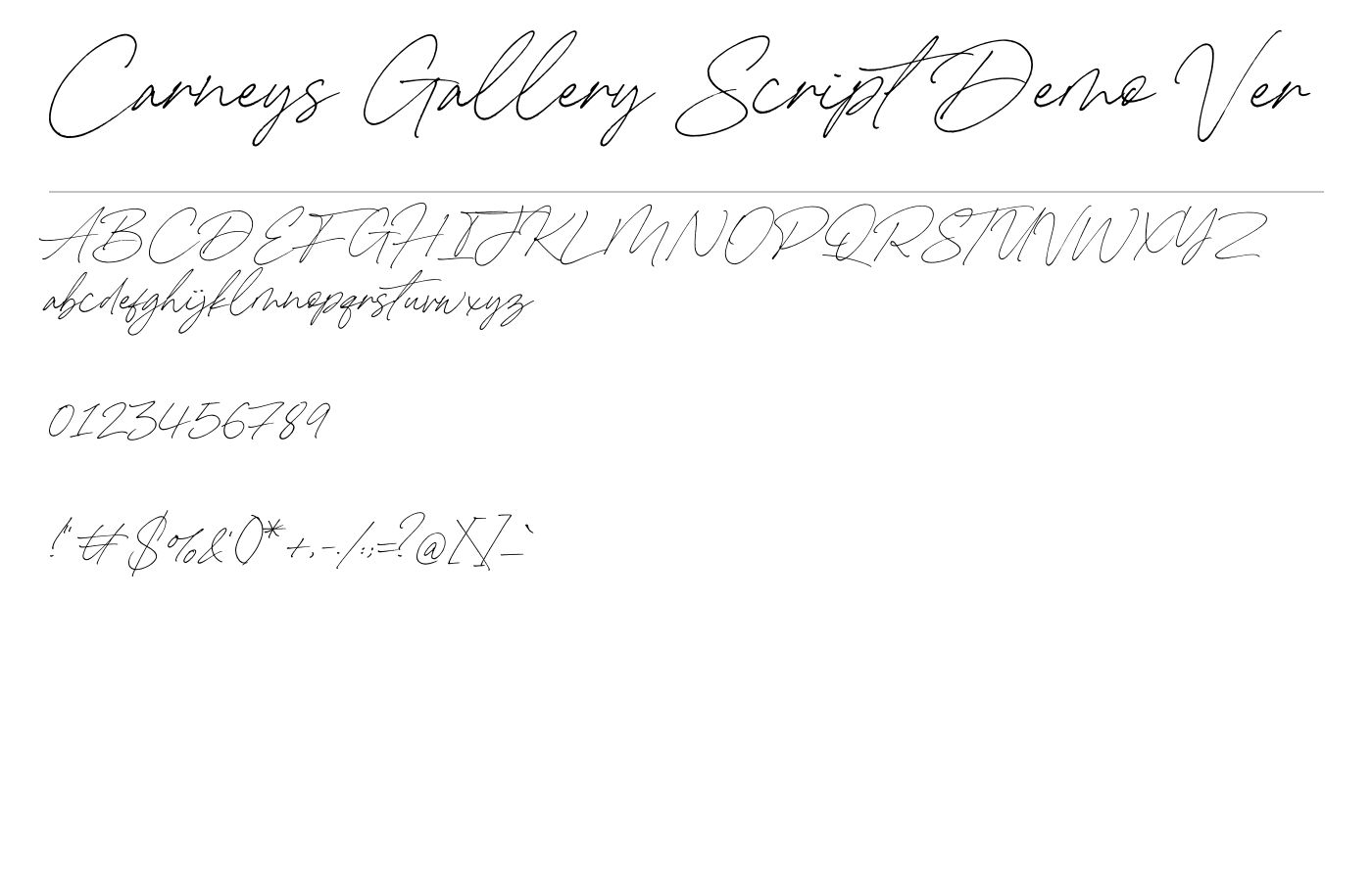 Carneys Gallery Script Demo Ver Font preview