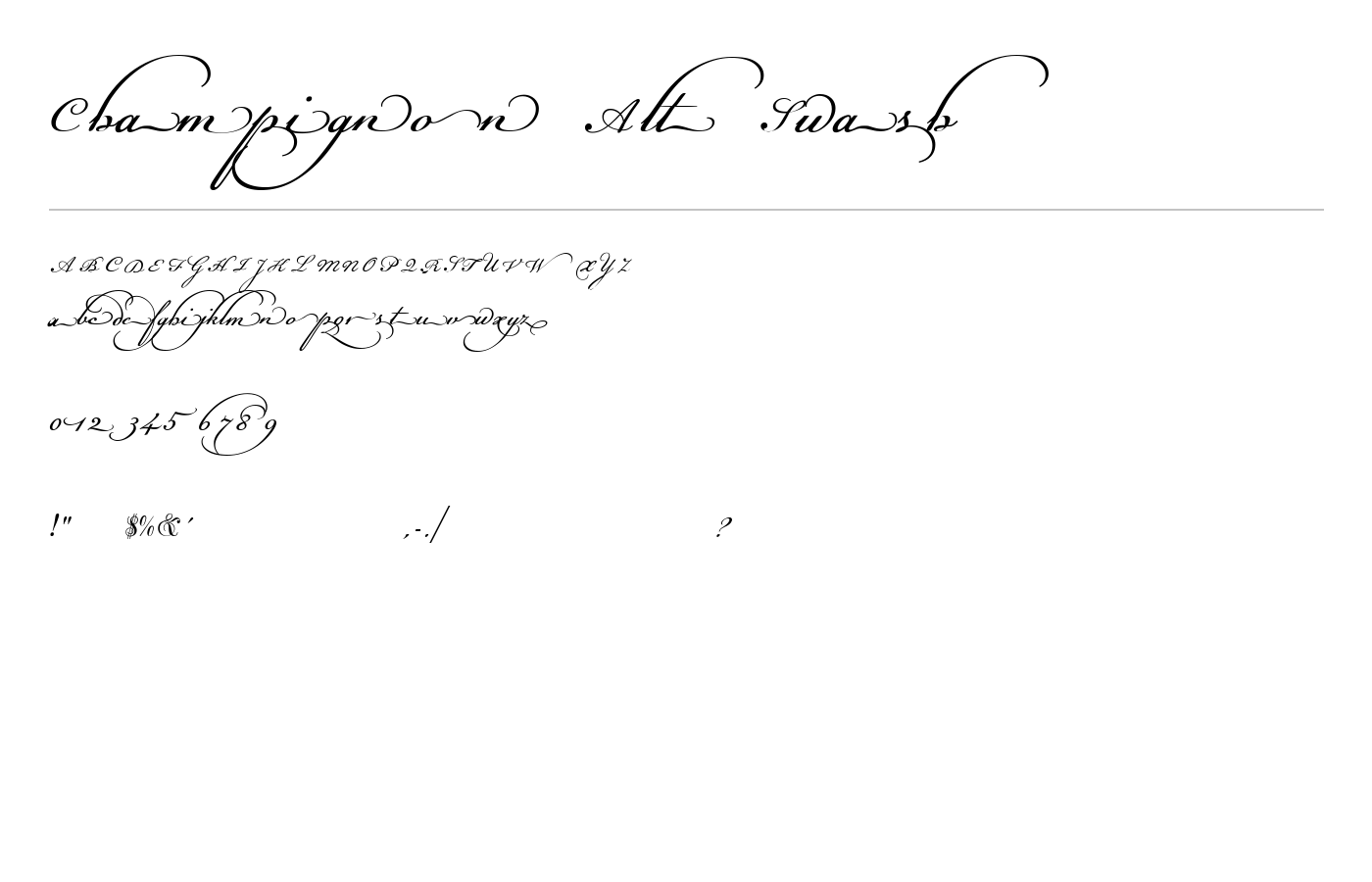 Champignon Alt Swash Font preview