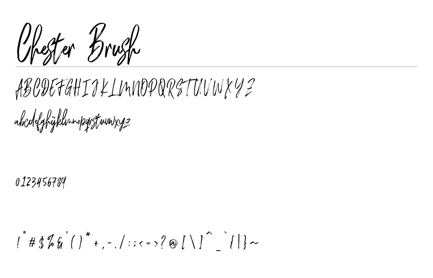 Chester Brush Font preview