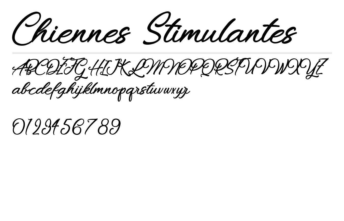 Chiennes Stimulantes Font preview