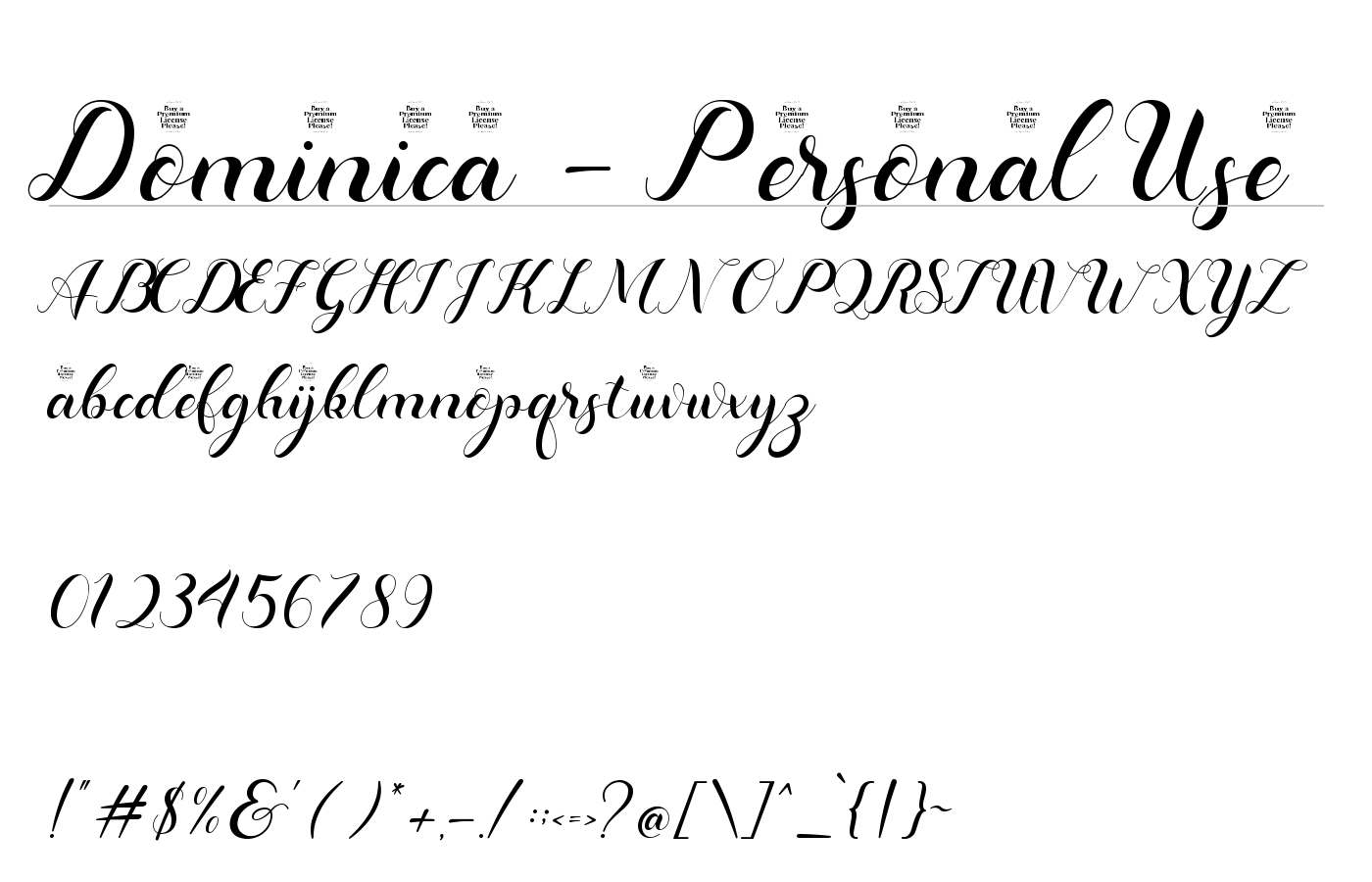 Dominica Calligraphy Font preview