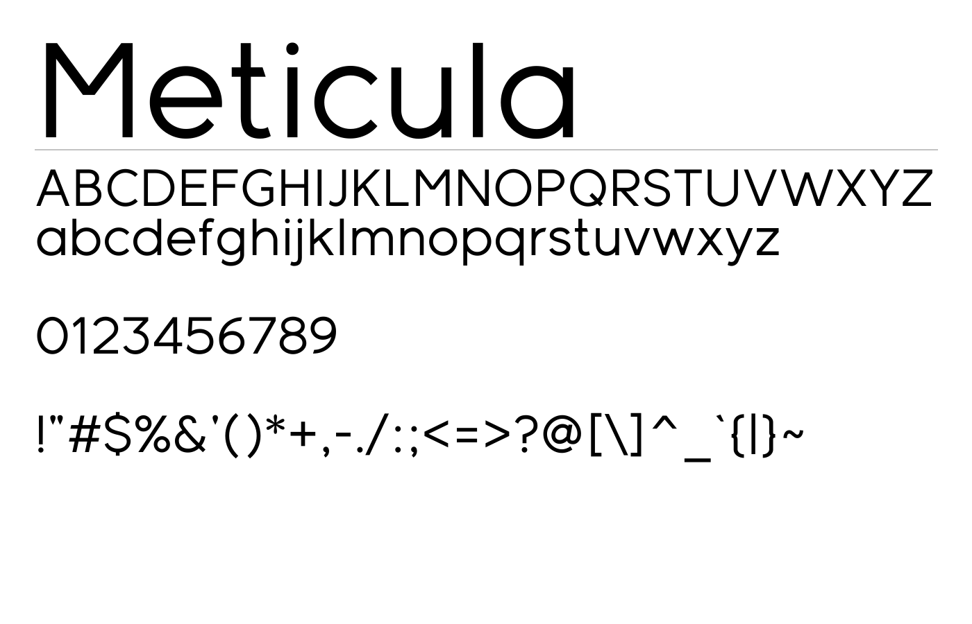 Meticula Sans Demo preview