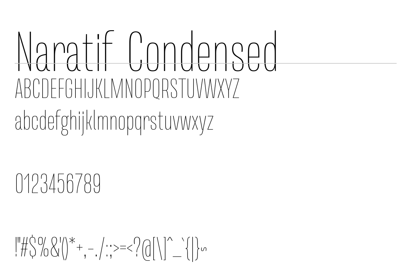 Naratif Condensed Demo preview