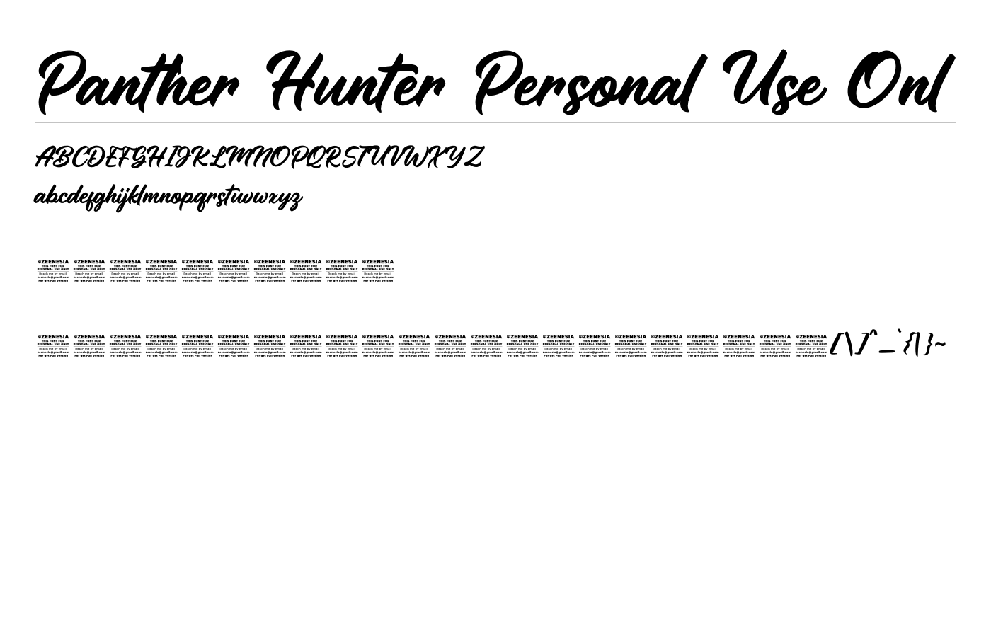 Panther Hunter Font preview