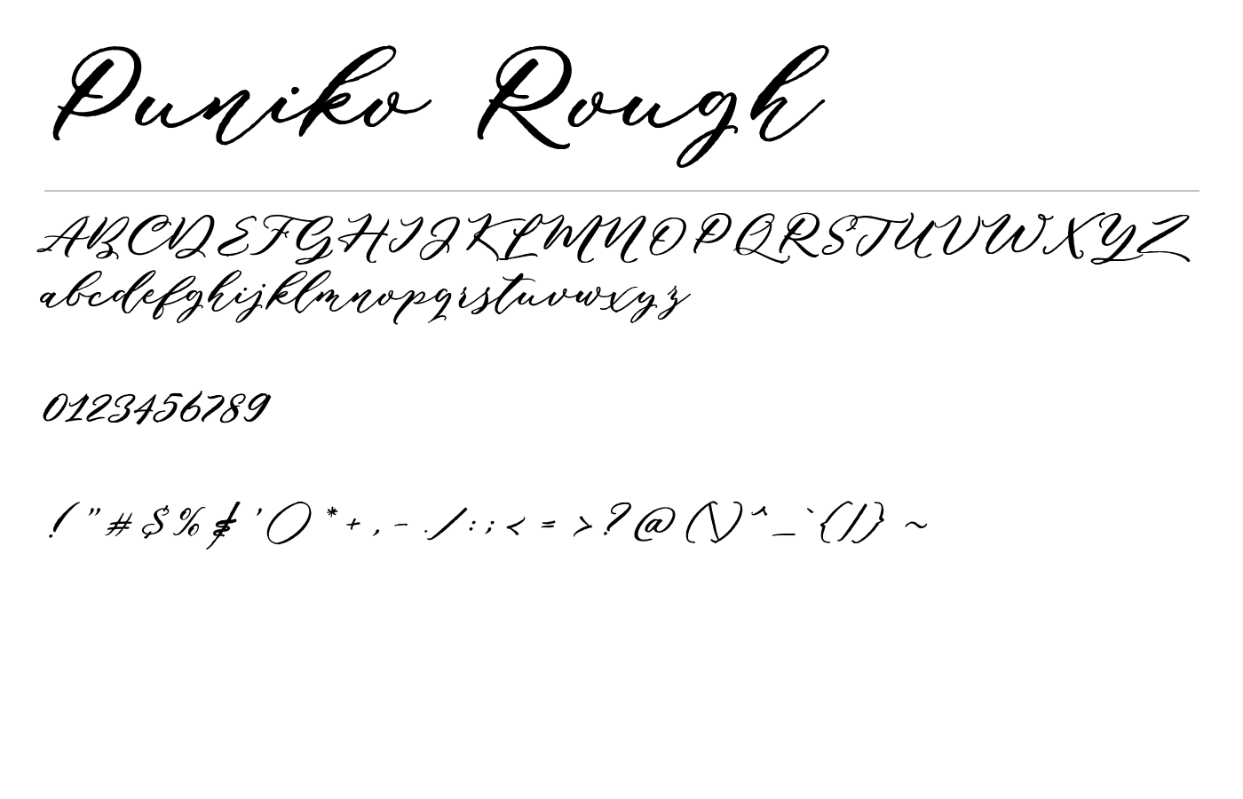 Puniko Rough Script Demo preview
