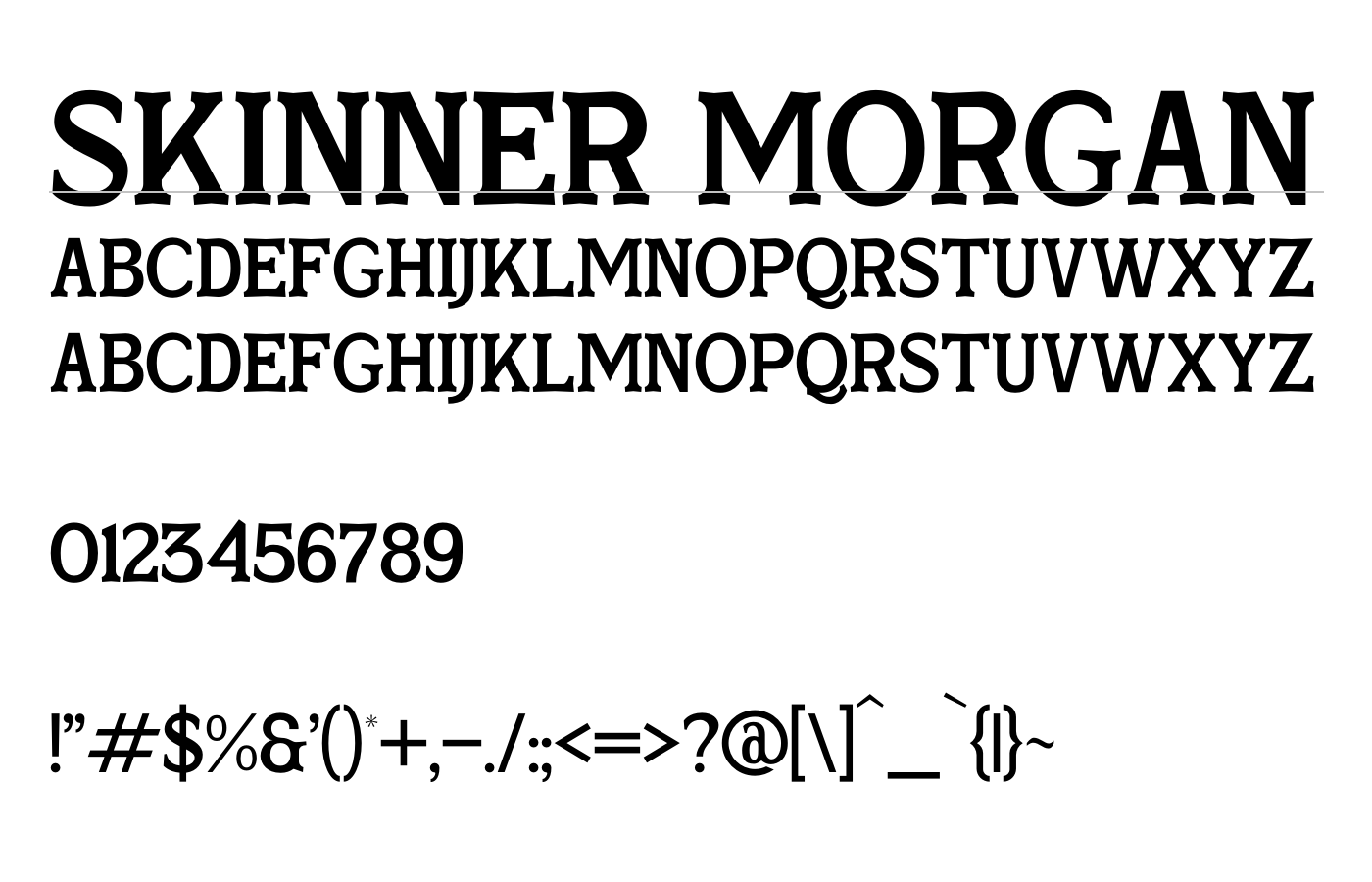Skinner Morgan Font preview