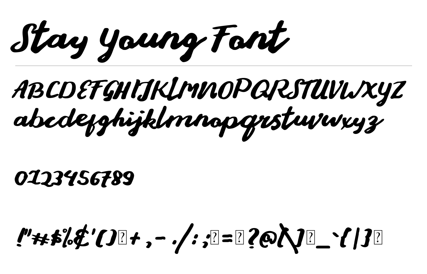 Stay Young Handlettering Display preview